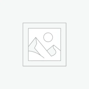 Website Development